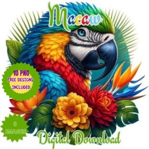 Watercolor Macaw Portrait Clipart Png. Gorgeous, Imposing Parrot Png. Tropical Bird, Jungle Clip Art, Forest Animal, Exotic Animals Colorful