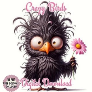 Imágenes Prediseñadas de paquete de pájaros locos y divertidos, imágenes prediseñadas de animales de aves. Ilustraciones de pájaros extravagantes, pájaros caprichosos, pájaro lindo png, caras de pájaros de dibujos animados