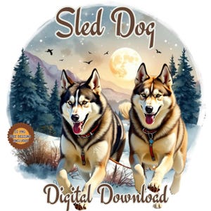 Clipart di cani da slitta acquerello png. Cani da slitta husky invernali. Foresta innevata. Avventura artica. Alaskan Malamute. Set di squadre di cani. Sport invernali per cani