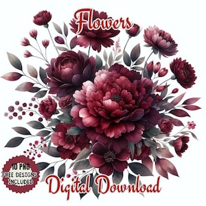 Peonie e anemoni dell'acquerello. PNG di clipart di immagini di natura floreale. Fiori ornamentali Peonie bordeaux e Anemoni rosa, viola e lavanda.