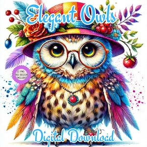 Aquarell Eule Clipart-Set, Elegante Eule Sublimation Clipart, modische bunte Eulen, Eule Kunstwerk, niedliche Eule Sublimation, Eule druckbare Png