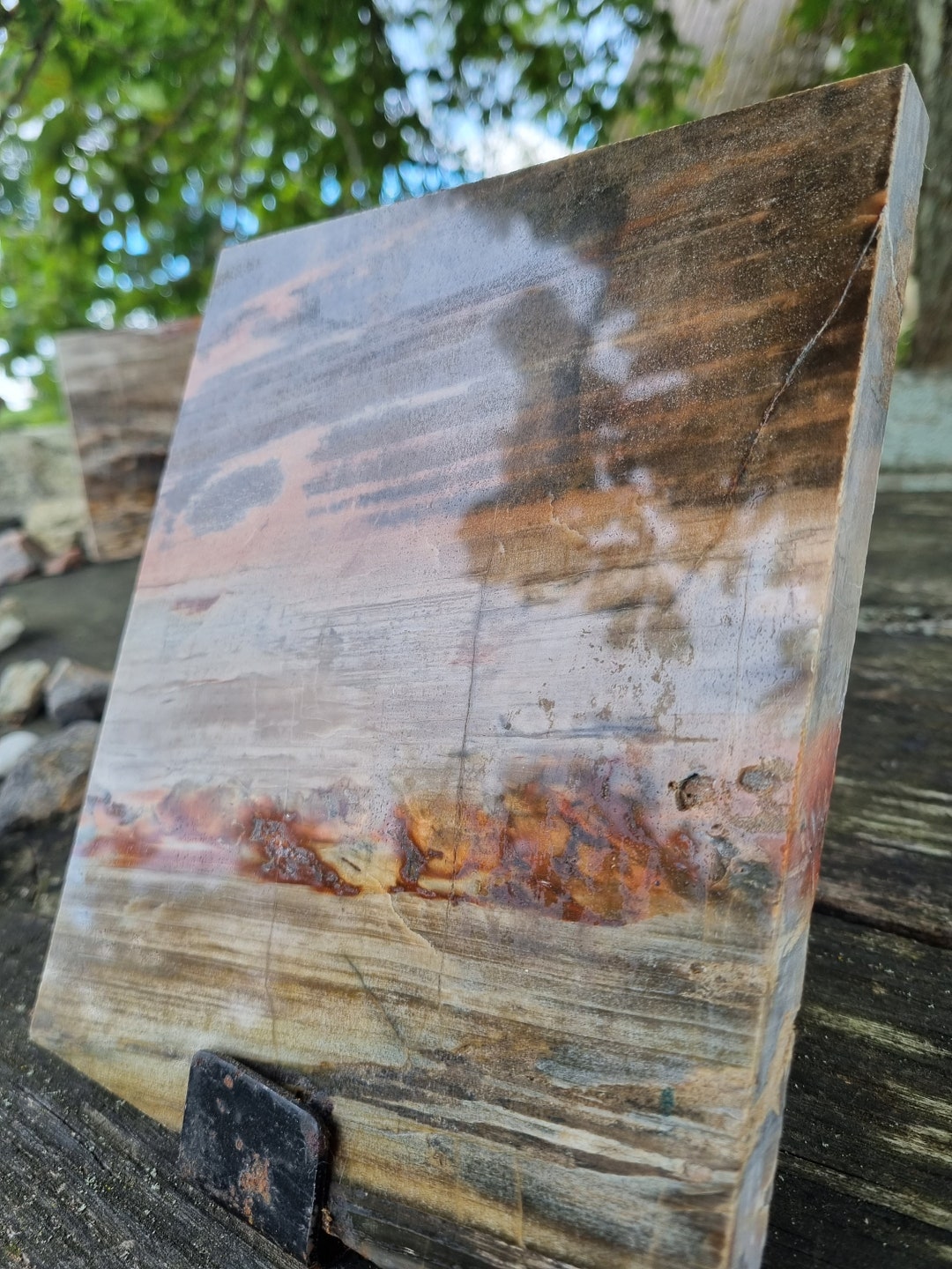 •PETRIFIED WOOD• fossil slab