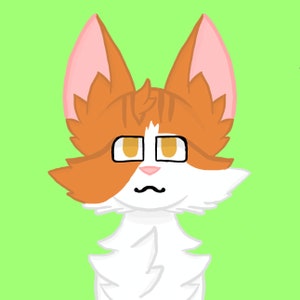 Warrior Cats | gift ideas | Custom pet portrait | Cat drawing | Personalized pet drawing | digital clipart | Commercial use | Warrior Cats