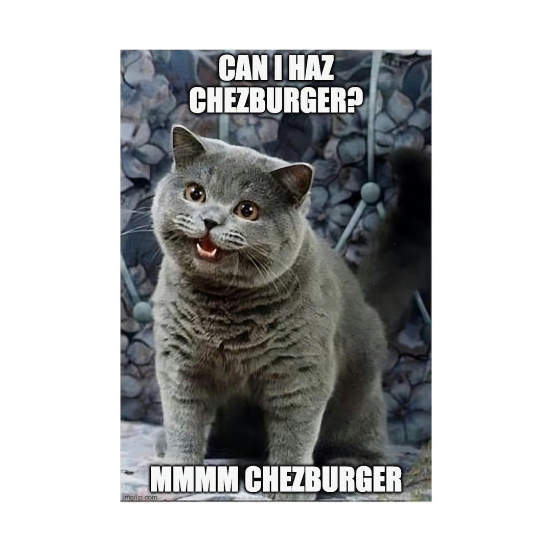 Original Cat Meme Poster Can I Haz Chezburger Cat Meme Etsy