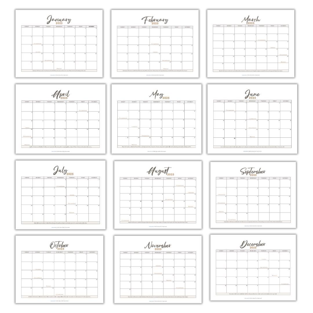 2025 Printable Calendar PDF Monday Start Calendar for 2025 Digital