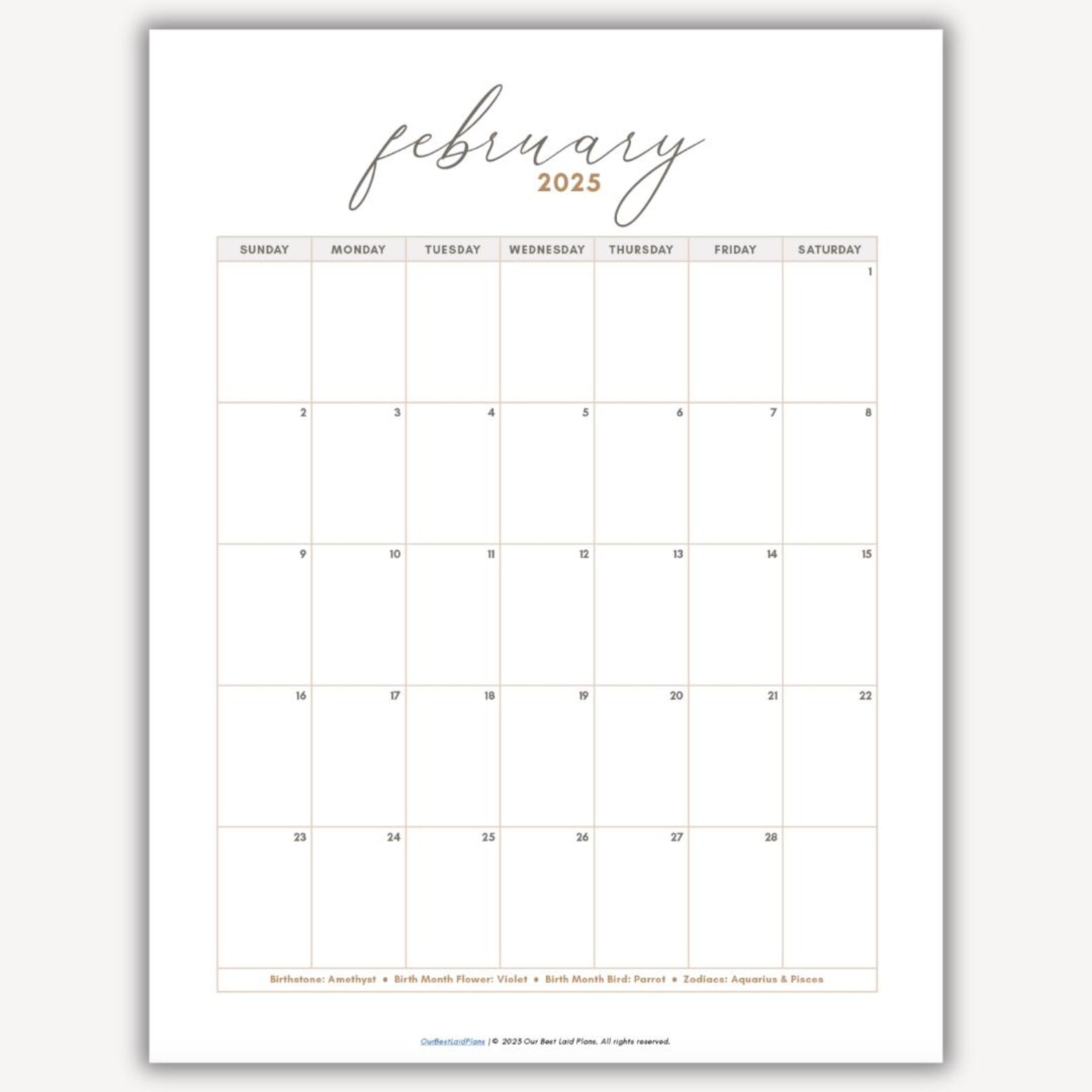 FEBRUARY 2025 CALENDAR PRINTABLE PDF FREE DOWNLOAD WORD visual data 3