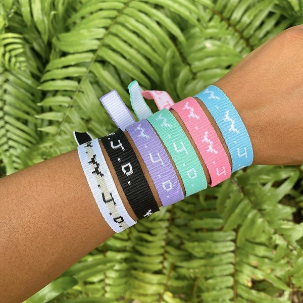 WWJD Bracelet Pack