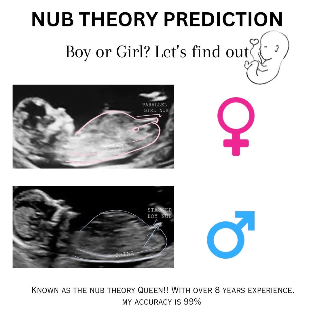 Nub Theory Prediction - Etsy