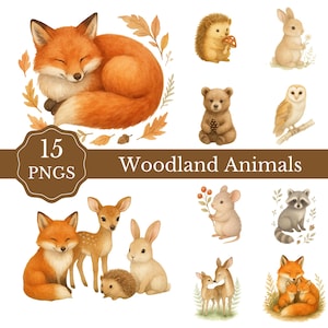 Woodland Animals Watercolor Clipart Set • 15 PNGs • Forest Animal Illustrations • Baby Nursery Art • Fox Deer Bunny Bear Raccoon PNG Bundle