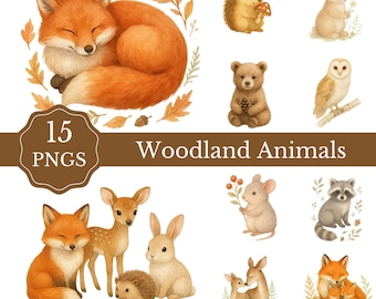 Woodland Animals Watercolor Clipart Set • 15 PNGs • Forest Animal Illustrations • Baby Nursery Art • Fox Deer Bunny Bear Raccoon PNG Bundle