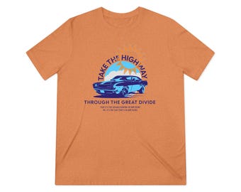 Phish The Wedge Shirt Ultra-Premium Triblend Unisex Lot Tee