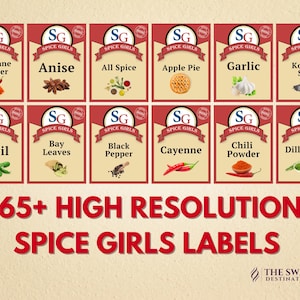 60+ Spice Girls Passendes Halloween-Shirt PNG, Gruppe Halloween-Shirt, Schürze Png, Spice Group Girl Thanksgiving-Kostüm PNG, Gewürzetiketten Png