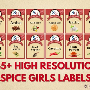 60+ Spice Girls Matching Halloween Shirt PNG, Group Halloween Shirt, Apron Png, Spice Group Girl Thanksgiving Costume PNG, Spice Labels Png