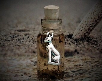 May include: A small glass bottle with a cork stopper and a silver charm of a cat hanging from the neck. The bottle is filled with a brown liquid and herbs.