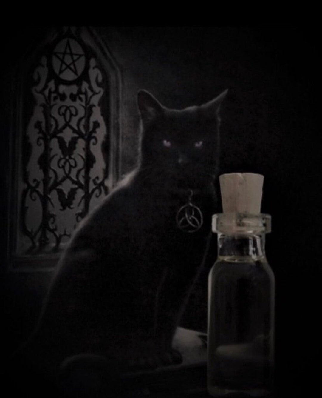 Black Cat Ritual Oil - Etsy