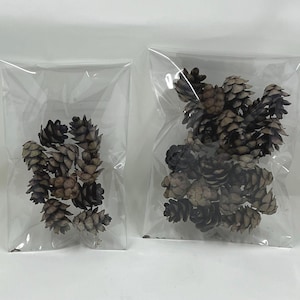 Puede incluir: Dos bolsas de plástico transparentes llenas de piñas secas. Las piñas son una mezcla de colores marrones y grises.