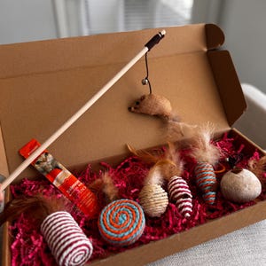 Interactive Cat Toy Gift Box: Feather Wand, Bell Balls & Chew Toys
