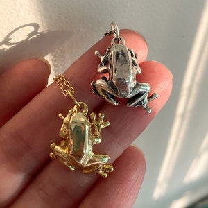 May include: Two frog pendant necklaces, one silver and one gold. The silver frog is facing forward with its legs outstretched, while the gold frog is facing backward with its legs tucked in.