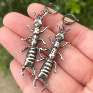 Örhängen i sterlingsilver med tvestjärt/insektsmycken/gåva till insektsälskare