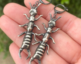 Sterling Silver Earwig Earrings/Bug Jewelry/Bug Lover Gift