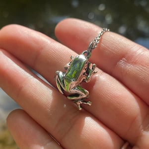 May include: A silver frog pendant necklace. The frog is detailed and realistic, with a smooth, shiny finish.