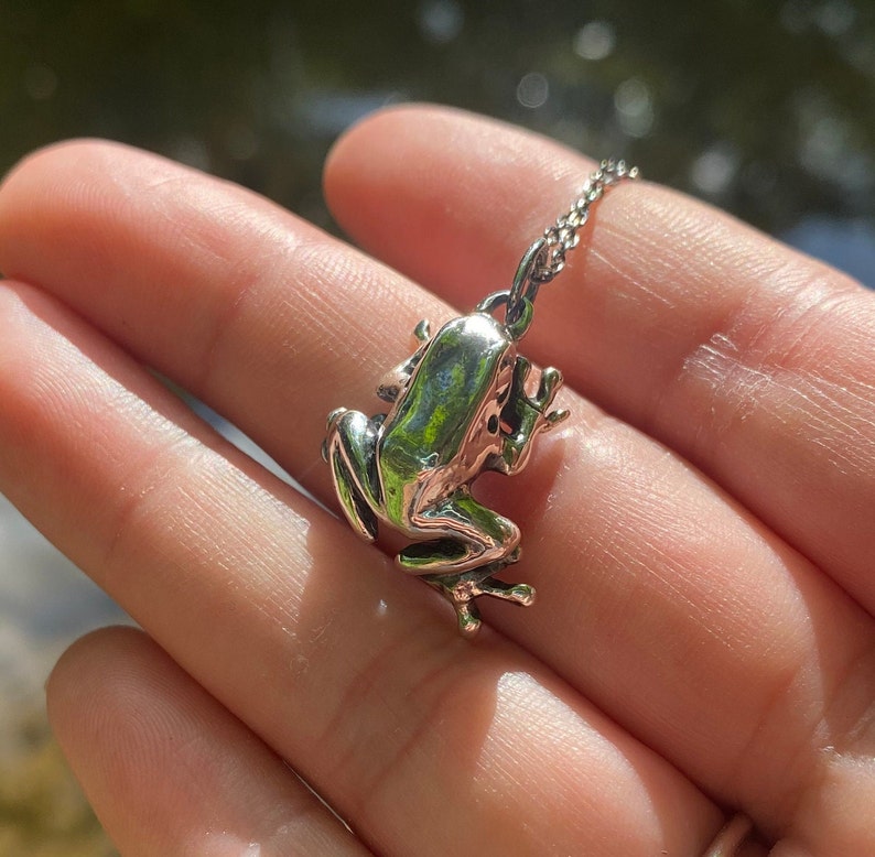 May include: A silver frog pendant necklace. The frog is detailed and realistic, with a smooth, shiny finish.