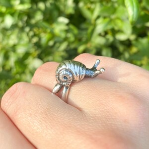 Snail Shell Rings Snail Ring/ Handmade Ring 925 Sterling Silver/plant Jewelry/bug Jewelry ...