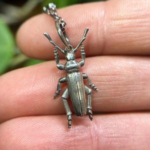 Dije de escarabajo/Collar de escarabajo de cuernos largos de plata esterlina/Dije de escarabajo almizclero/Plata 925/Regalos para amantes de los insectos/Regalos para entomólogos