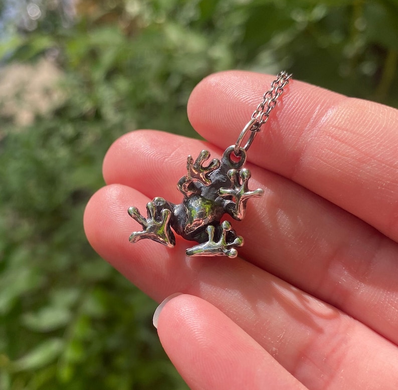 May include: A silver frog pendant necklace with a detailed design. The frog is hanging from a silver chain.