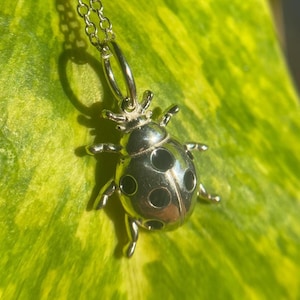May include: A silver ladybug pendant necklace. The ladybug has black spots and is attached to a delicate silver chain. The background is a green and yellow leaf.