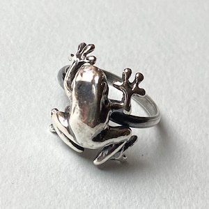 Op de afbeelding: Een zilveren ring met een gedetailleerd kikkerontwerp. De kikker is op de ringband geplaatst, met zijn poten en voeten die zich rond de band uitstrekken.