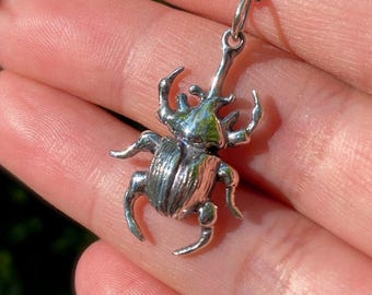Beetle Necklace/Sterling Silver Elephant Beetle/ 14kt Gold Plated/ Bug Charm/Insect Jewelry