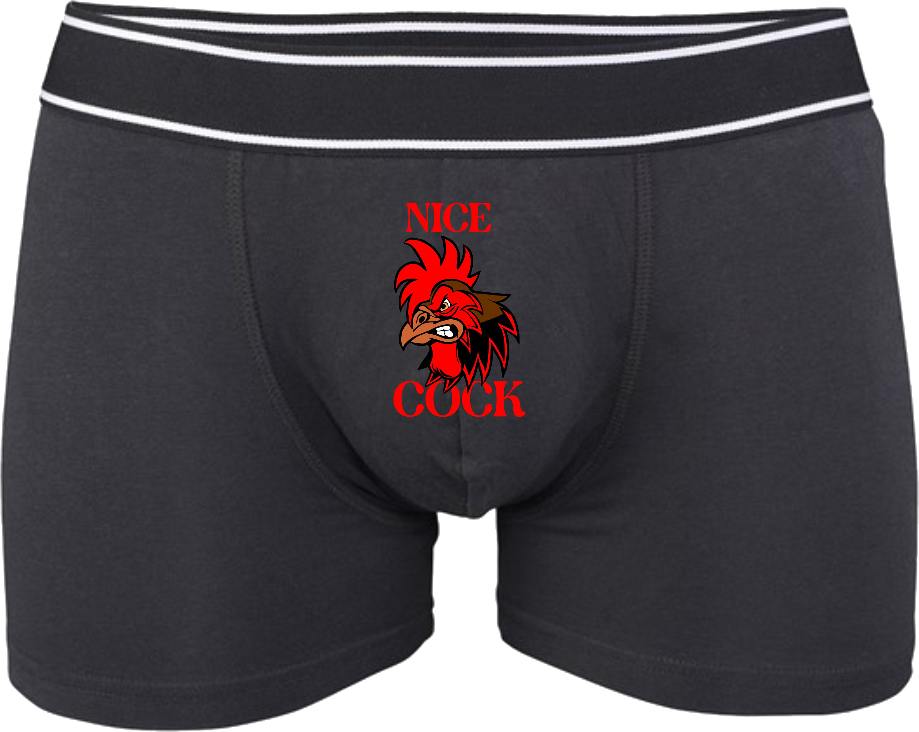 Valentine Boxers. Naughty Boxers. Hilarious Gift. Man. Husband