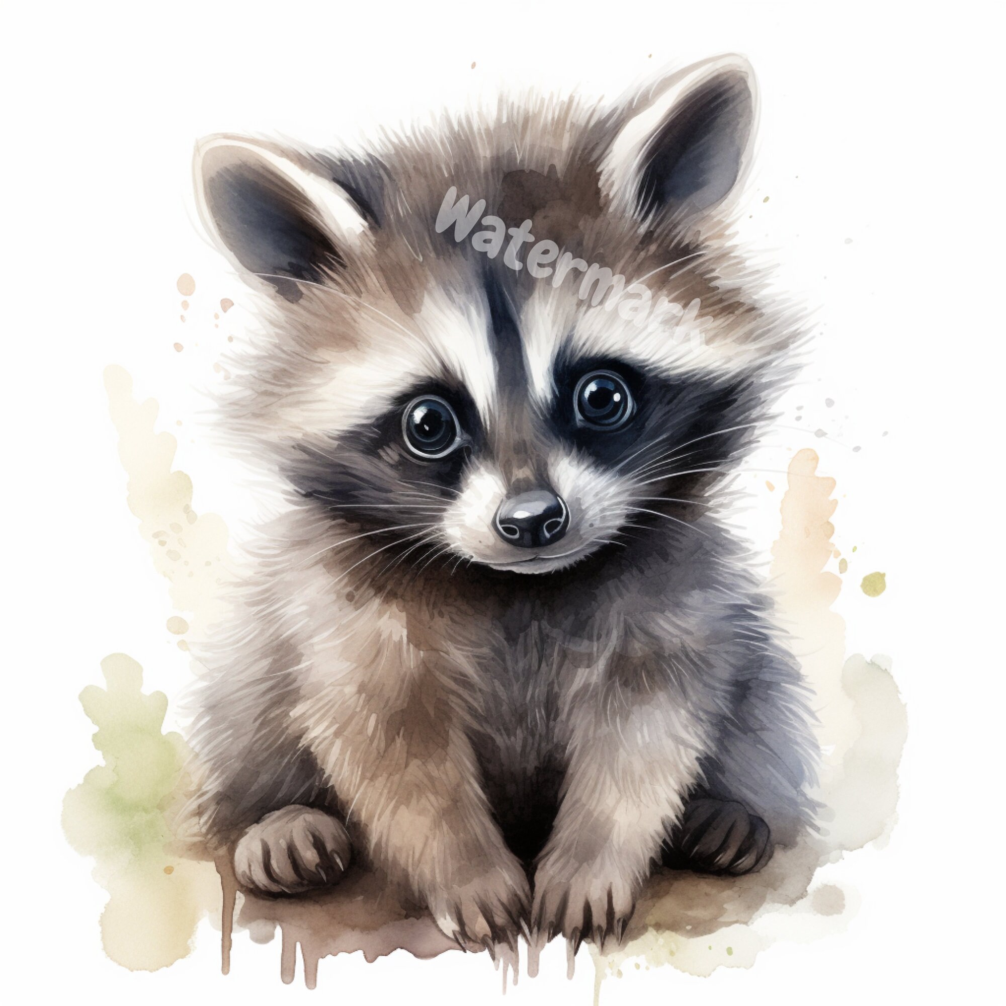 Baby Raccoon Clipart 8 High Quality Images, Scrap Booking, Digital ...