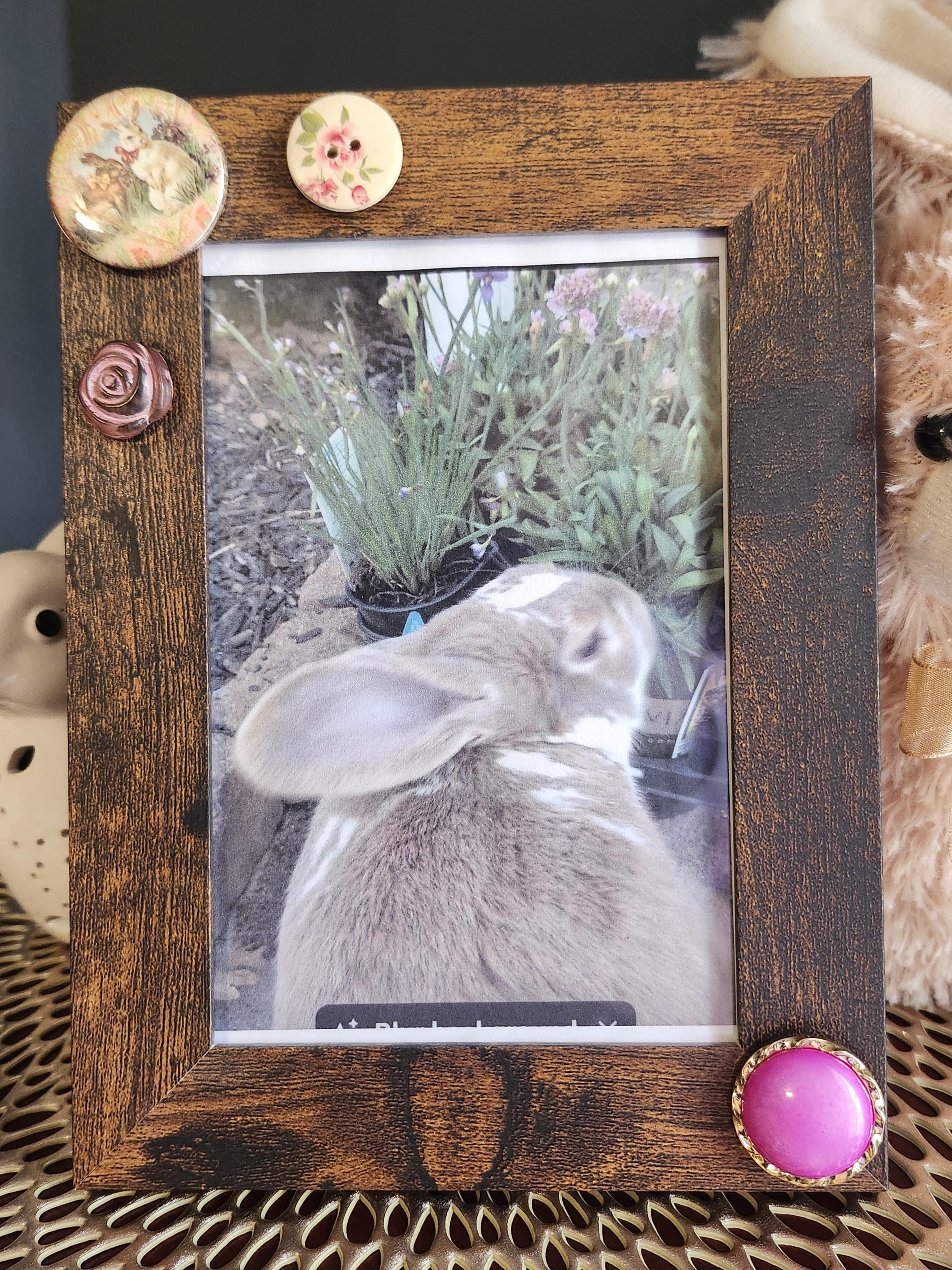 My Pet Rabbit- 4x6 Rabbit Photo Frame - Etsy