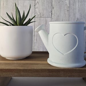 May include: A white ceramic watering can with a heart-shaped cutout and a small white ceramic planter holding a green succulent plant. The watering can is light blue and sits on a wooden shelf.