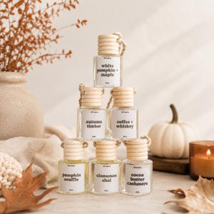 Fall Car Diffuser Set | Autumn Hanging Fresheners for Rearview Mirror
