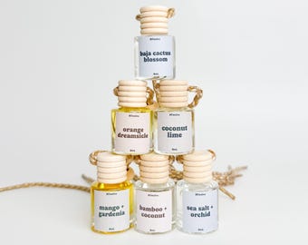 Spring Summer Car Diffuser Set | Clean Fresh Car Scents