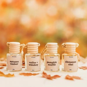 Fall Car Diffuser Set | Autumn Hanging Fresheners for Rearview Mirror