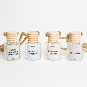 Scented Car Diffuser | Hanging Car Air Freshener