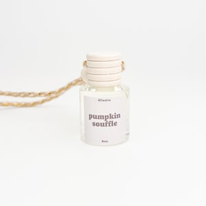 Fall Car Diffuser | Cozy Autumn Hanging Air Freshener