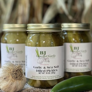 May include: Three glass jars filled with green dill pickle spears. The center jar has a white label with the text "BJ Gourmet Garlic Farm Certified Naturally Grown Garlic & Sea Salt Dilled Pickles NET WT. 16 OZ. (454g) Made especially for BJ Gourmet Garlic Farm 13898 Gifford Road, Oberlin, OH 44074 330.673.3883". A large white garlic bulb and a green jalapeno pepper are in the foreground.