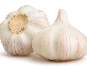 May include: Two whole garlic bulbs with white skin and a light pink hue. The bulbs are arranged side by side, with one bulb slightly in front of the other.