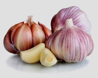May include: Three whole garlic bulbs and two peeled garlic cloves. The bulbs feature papery skins with shades of white, light brown, and purple streaks. The two individual cloves are smooth, firm, and off-white in color, positioned in front.
