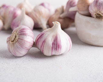 May include: Close-up of several whole garlic bulbs, some with purple stripes, on a white surface. Some garlic bulbs are in a white ceramic bowl.