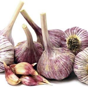 Bogatyr Garlic Bulbs Hardneck for Cooking or Seed Planting - Certified Naturally Grown Organic