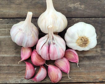 Puede incluir: Vista cenital de varios bulbos y dientes de ajo sobre una superficie de madera rústica. Los bulbos son blancos con toques rosados, y algunos están parcialmente pelados, revelando los dientes rosados. La superficie de madera tiene un aspecto natural y envejecido.