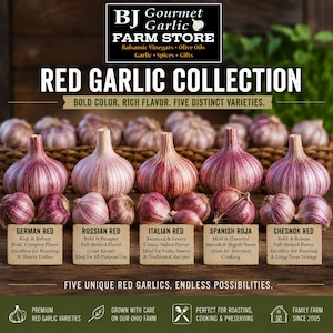 Get All 5 Red Garlic Bulbs - Table or Seed Garlic - German Red, Russian Red, Italian Red, Spanish Roja and Chesnok Red PRE-ORDER 2026 JULY