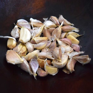 Garlic Seed For Sale Fall Planting | Gourmet Garlic Seed (B-Grade) planting bulbs/seed garlic that is Ideal for planting