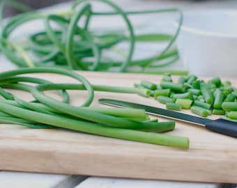 Organic Garlic Scapes Fresh Cut for Pesto Dehydrating or Freeze Dried - Certified Naturally Grown (PRE-ORDER JUNE 2026)